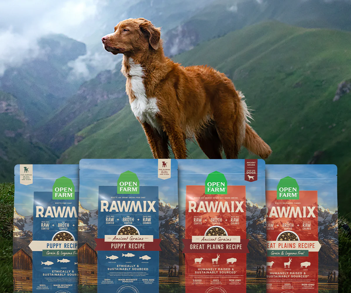 Ethical Nutrition for Every Pet