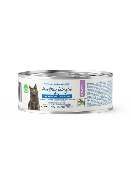 New Arrivals for Cats